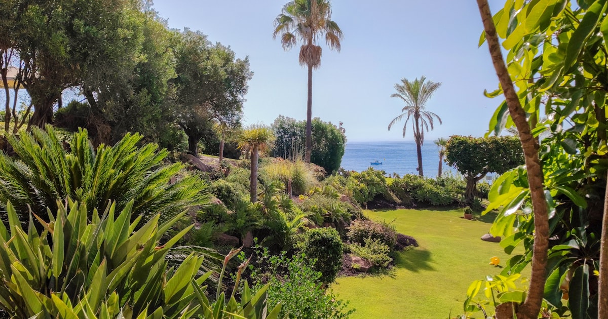 Lush Costa del Sol urbanización with palm-lined gardens