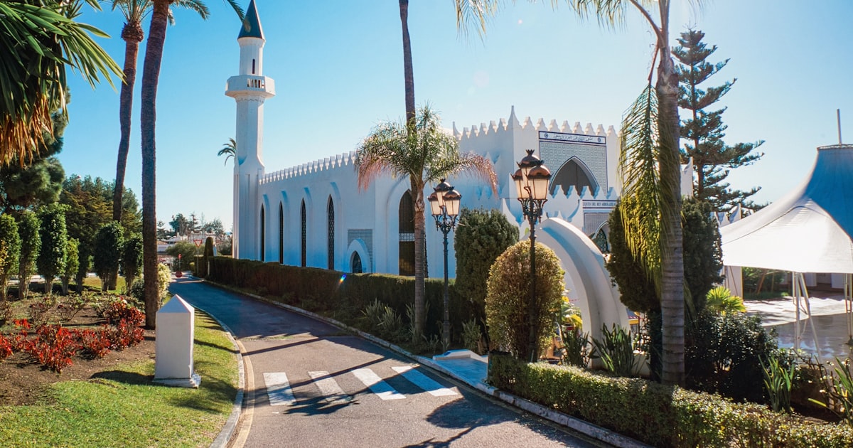 Modern Marbella villa with palm trees in sunshine