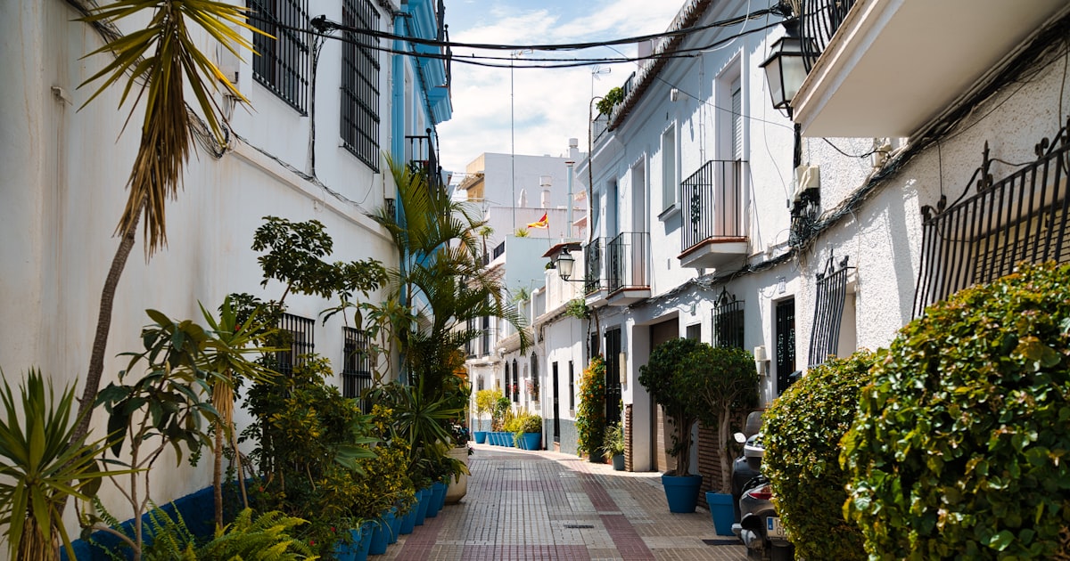 Ruelle pavée du vieux Marbella avec plantes en pot